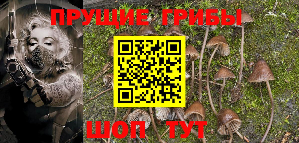 Псилоцибиновые грибы MAGIC MUSHROOMS  Псилоцибиновые грибы Cubensis  Ливны  Вход с VPN 